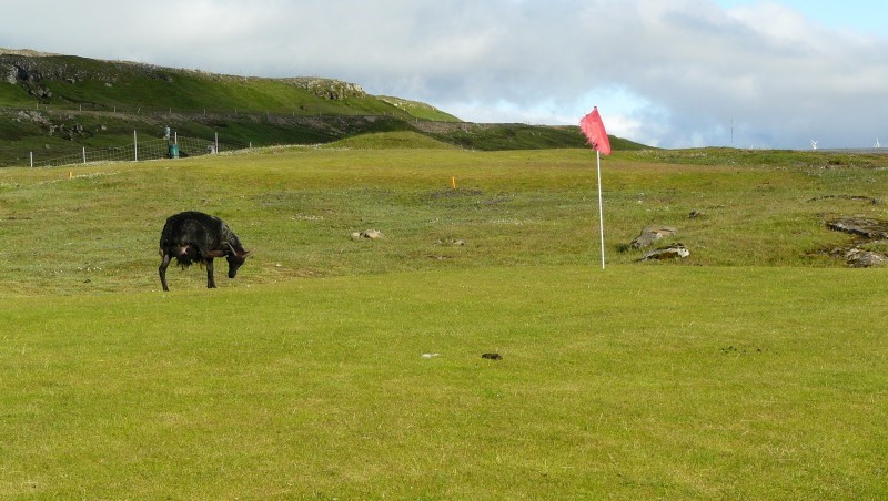 Tórshavnar Golffelag