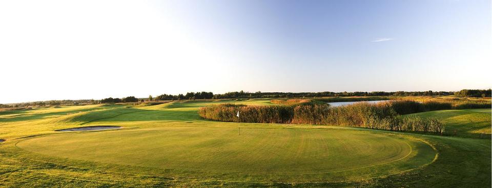 White Beach Golf