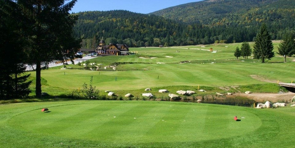 Tale Golf (Grey Bear)